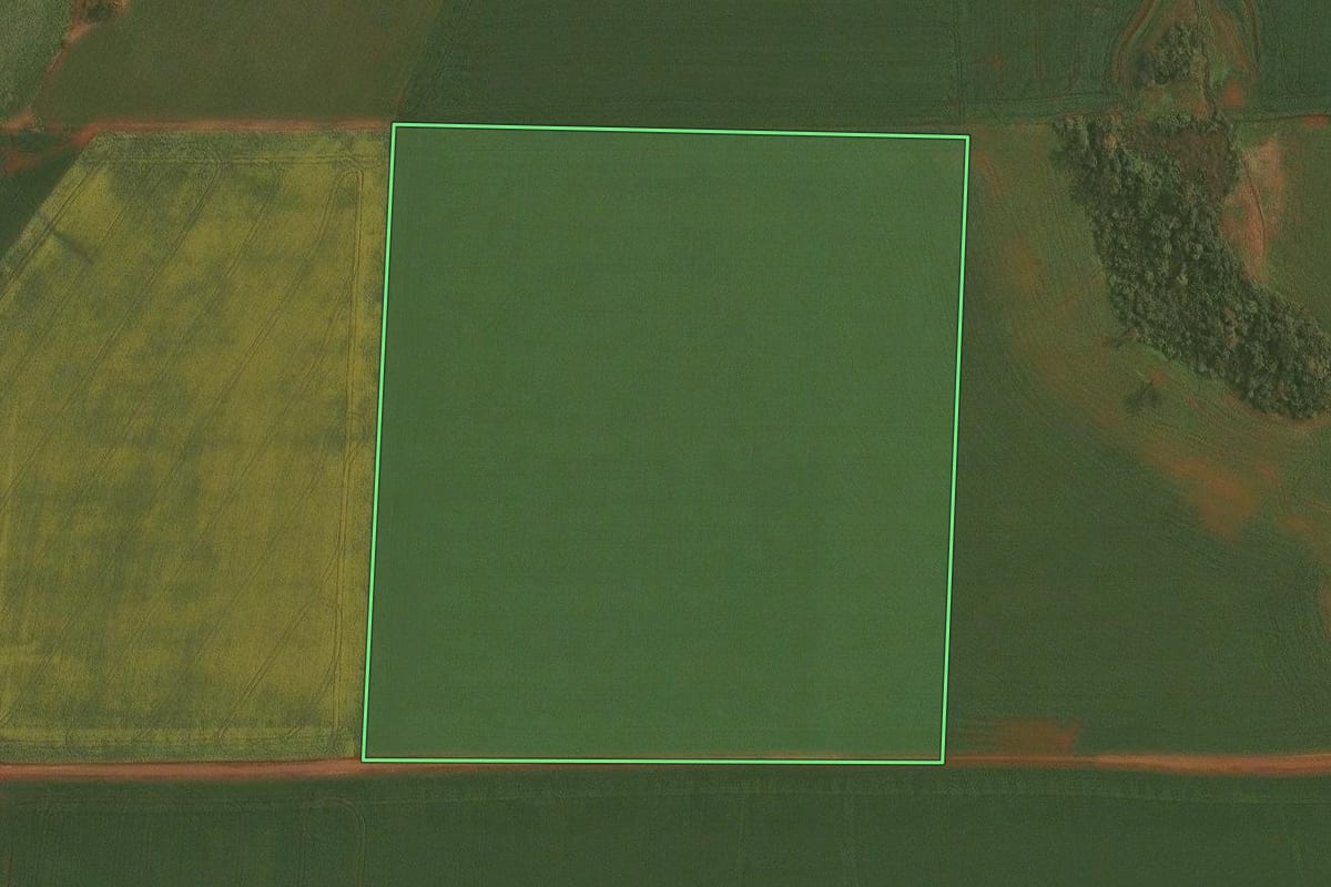 Imagem de satélite do imóvel rural em Ibirubá (RS), com o contorno declarado no CAR desenhado por cima.