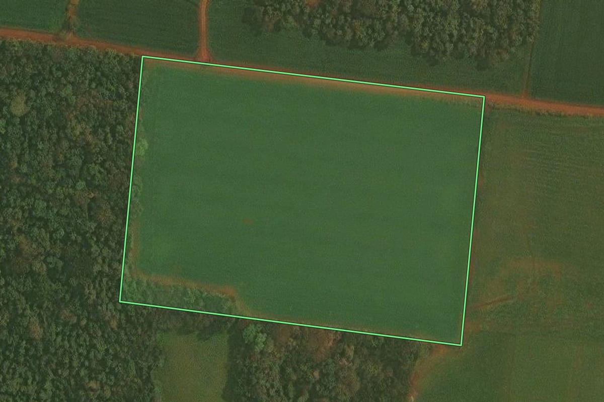 Imagem de satélite do imóvel rural em Ibirubá (RS), com o contorno declarado no CAR desenhado por cima.