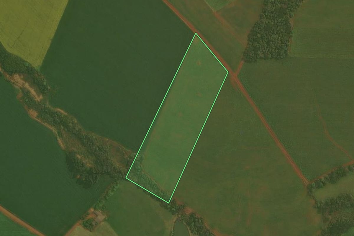 Imagem de satélite do imóvel rural em Ibirubá (RS), com o contorno declarado no CAR desenhado por cima.