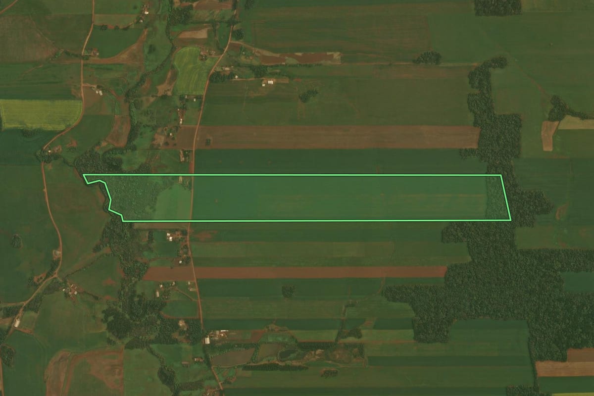 Imagem de satélite do imóvel rural em Ibirubá (RS), com o contorno declarado no CAR desenhado por cima.