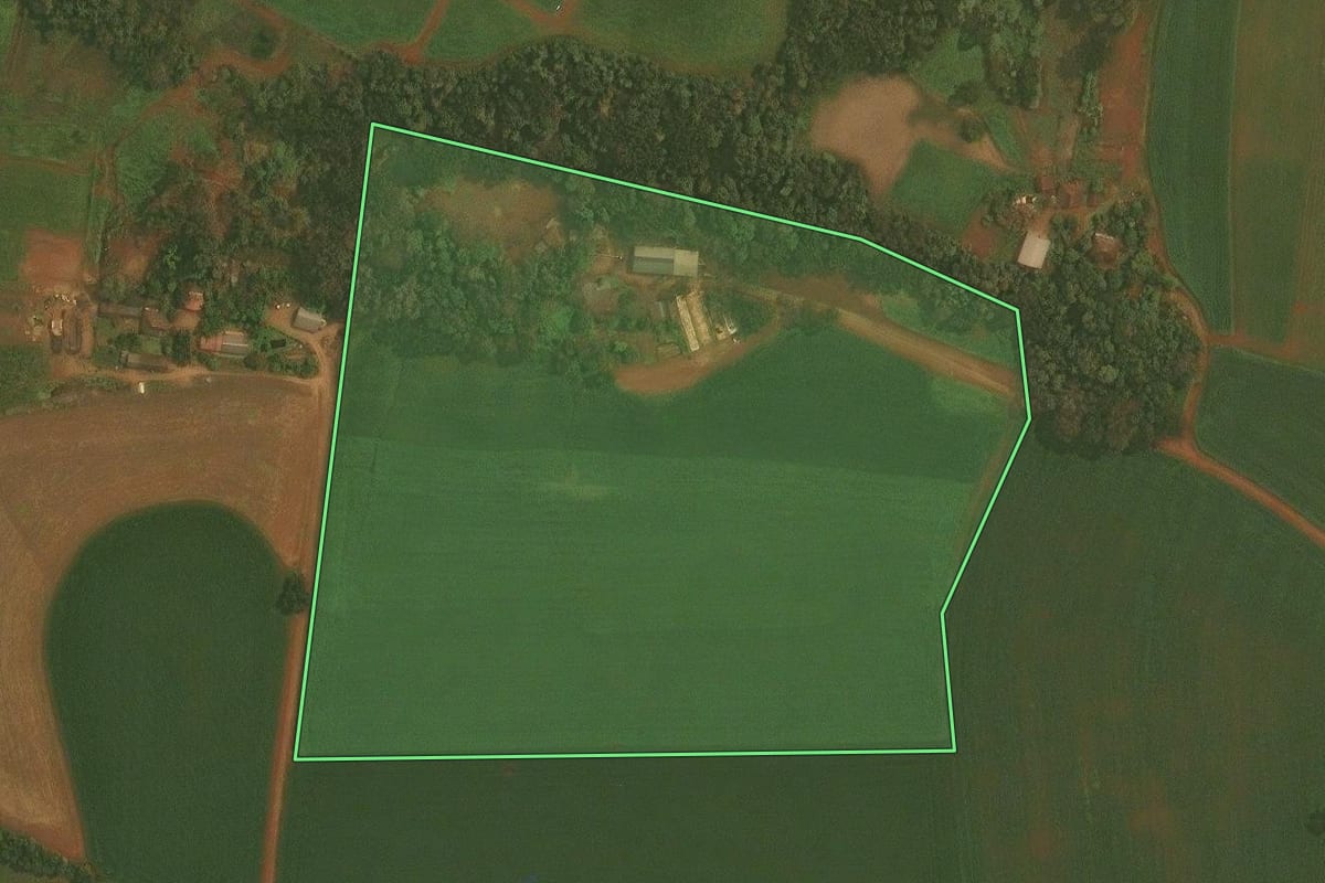 Imagem de satélite do imóvel rural em Ibirubá (RS), com o contorno declarado no CAR desenhado por cima.