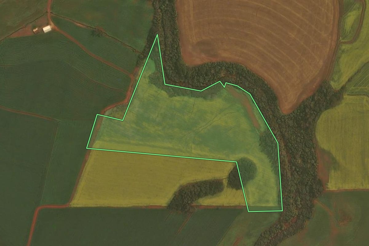 Imagem de satélite do imóvel rural em Ibirubá (RS), com o contorno declarado no CAR desenhado por cima.
