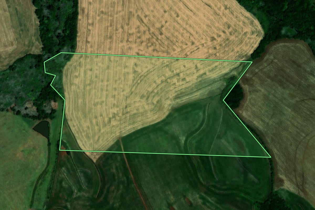 Imagem de satélite do imóvel rural em Ibirubá (RS), com o contorno declarado no CAR desenhado por cima.