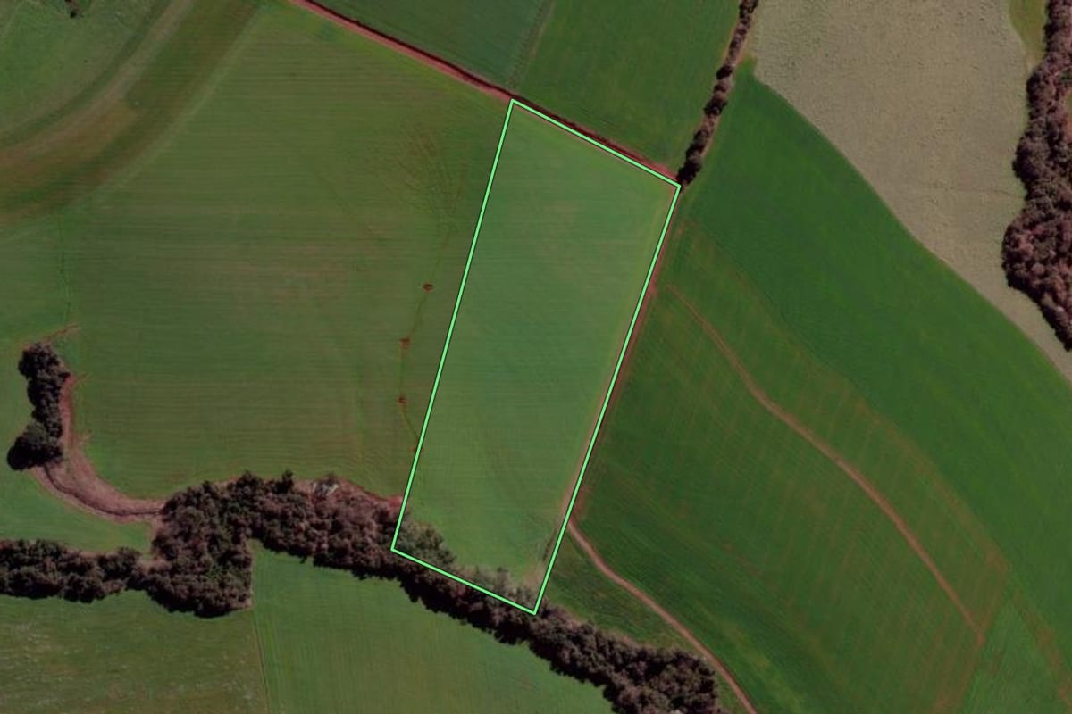 Imagem de satélite do imóvel rural em Ibirubá (RS), com o contorno declarado no CAR desenhado por cima.