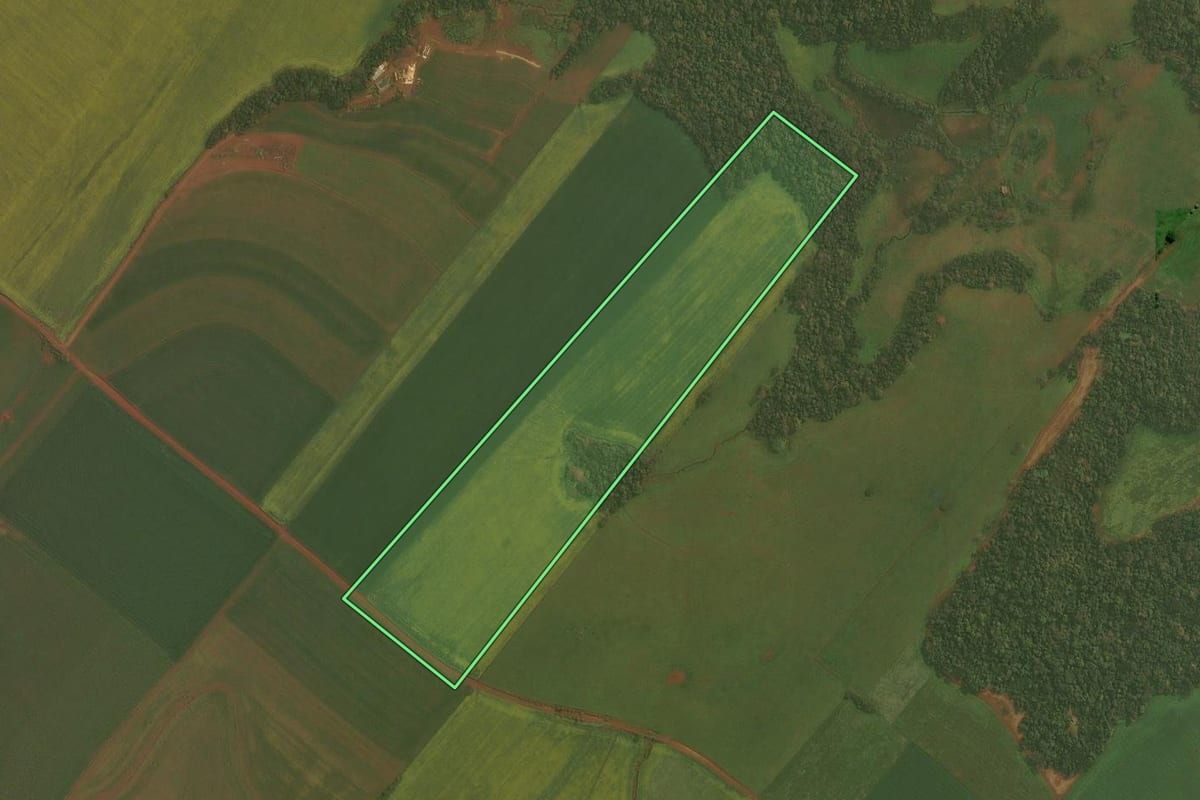 Imagem de satélite do imóvel rural em Ibirubá (RS), com o contorno declarado no CAR desenhado por cima.