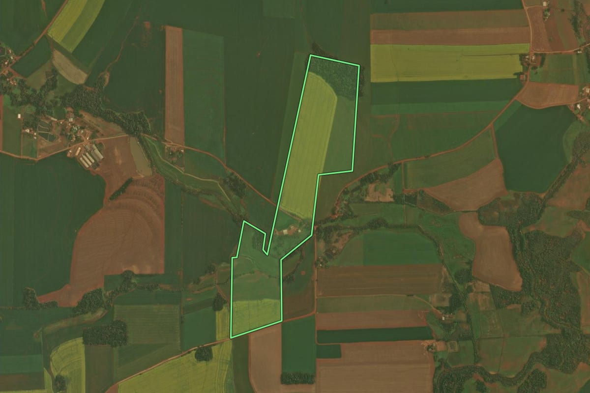 Imagem de satélite do imóvel rural em Ibirubá (RS), com o contorno declarado no CAR desenhado por cima.