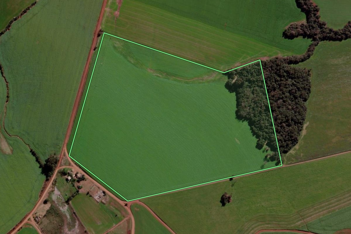 Imagem de satélite do imóvel rural em Ibirubá (RS), com o contorno declarado no CAR desenhado por cima.