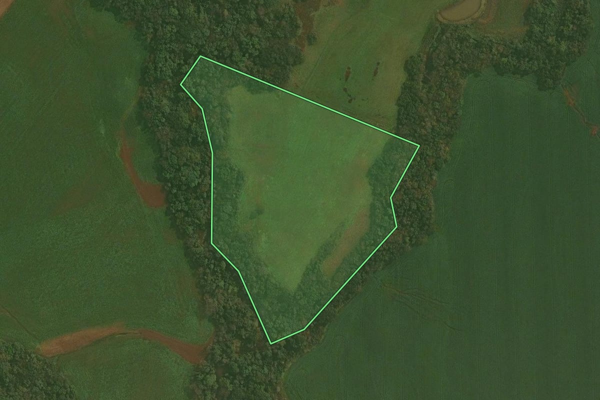 Imagem de satélite do imóvel rural em Ibirubá (RS), com o contorno declarado no CAR desenhado por cima.
