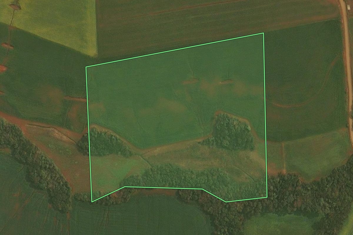 Imagem de satélite do imóvel rural em Ibirubá (RS), com o contorno declarado no CAR desenhado por cima.