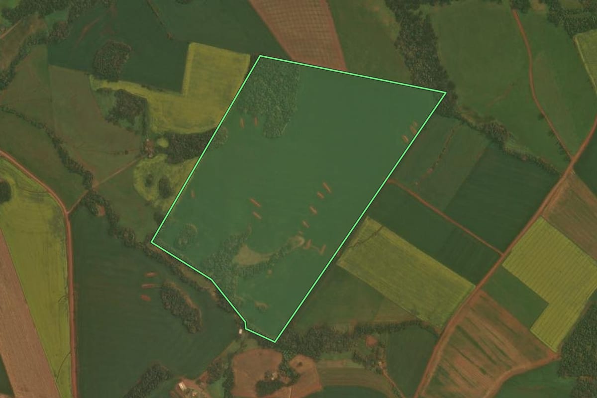 Imagem de satélite do imóvel rural em Ibirubá (RS), com o contorno declarado no CAR desenhado por cima.
