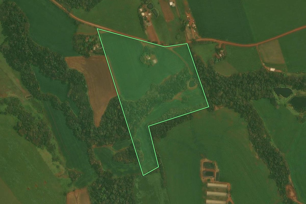 Imagem de satélite do imóvel rural em Ibirubá (RS), com o contorno declarado no CAR desenhado por cima.