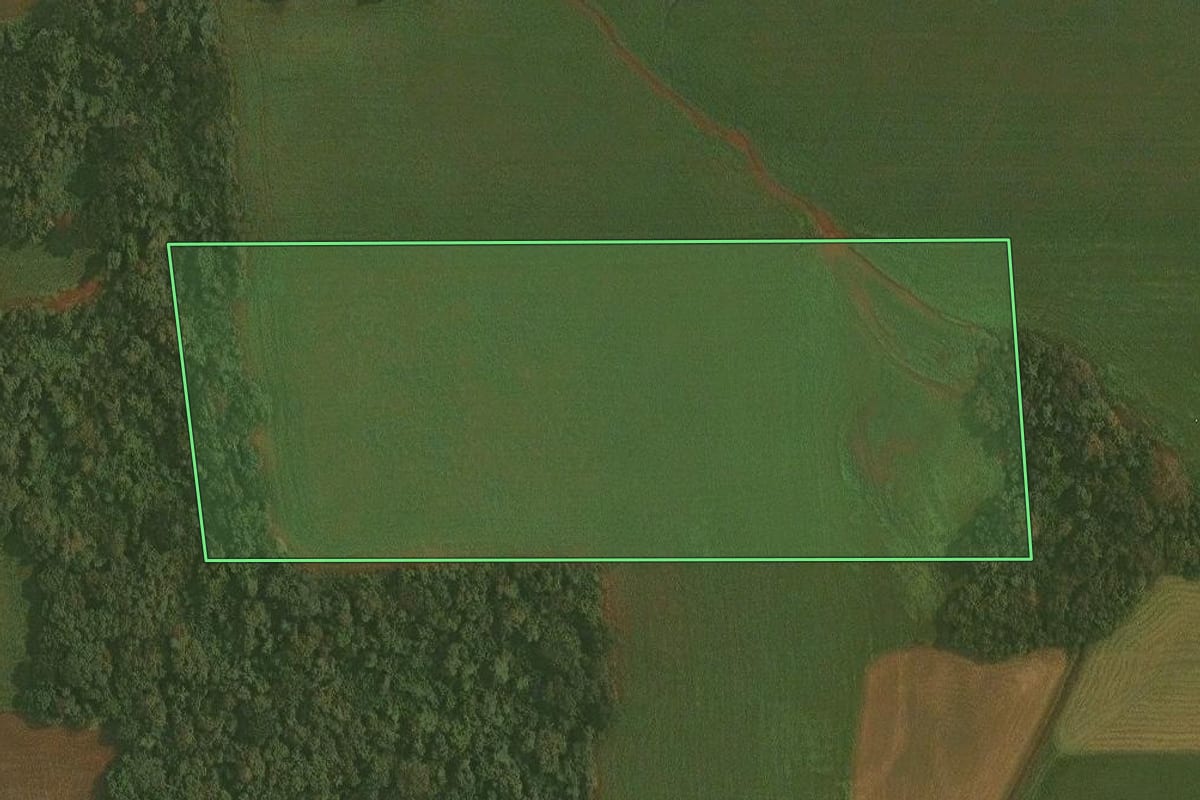 Imagem de satélite do imóvel rural em Ibirubá (RS), com o contorno declarado no CAR desenhado por cima.