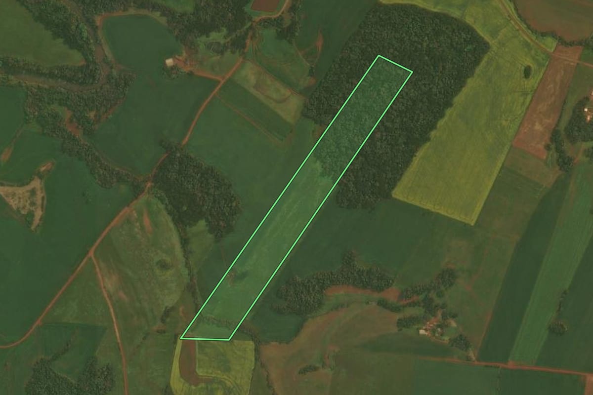 Imagem de satélite do imóvel rural em Ibirubá (RS), com o contorno declarado no CAR desenhado por cima.