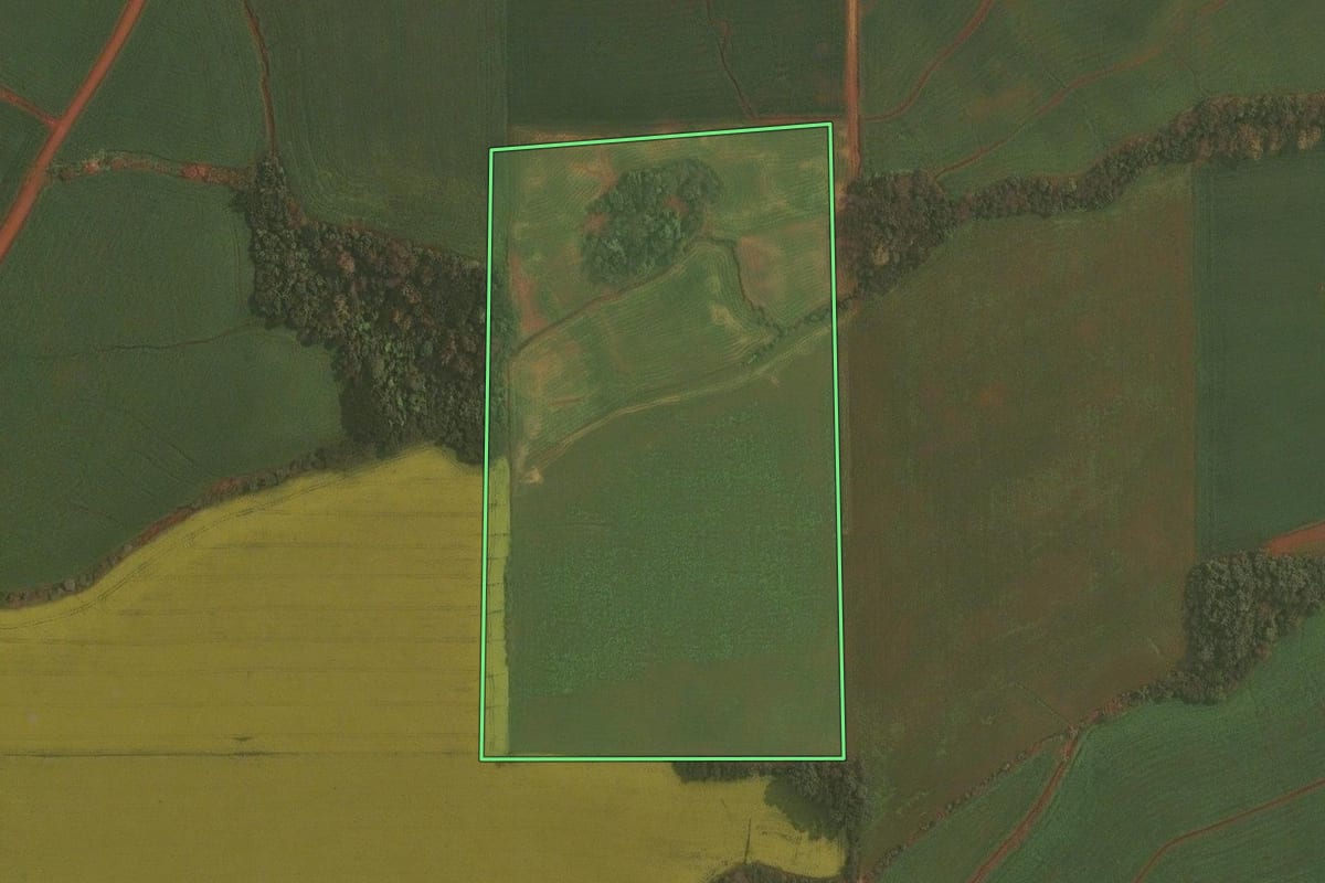 Imagem de satélite do imóvel rural em Ibirubá (RS), com o contorno declarado no CAR desenhado por cima.