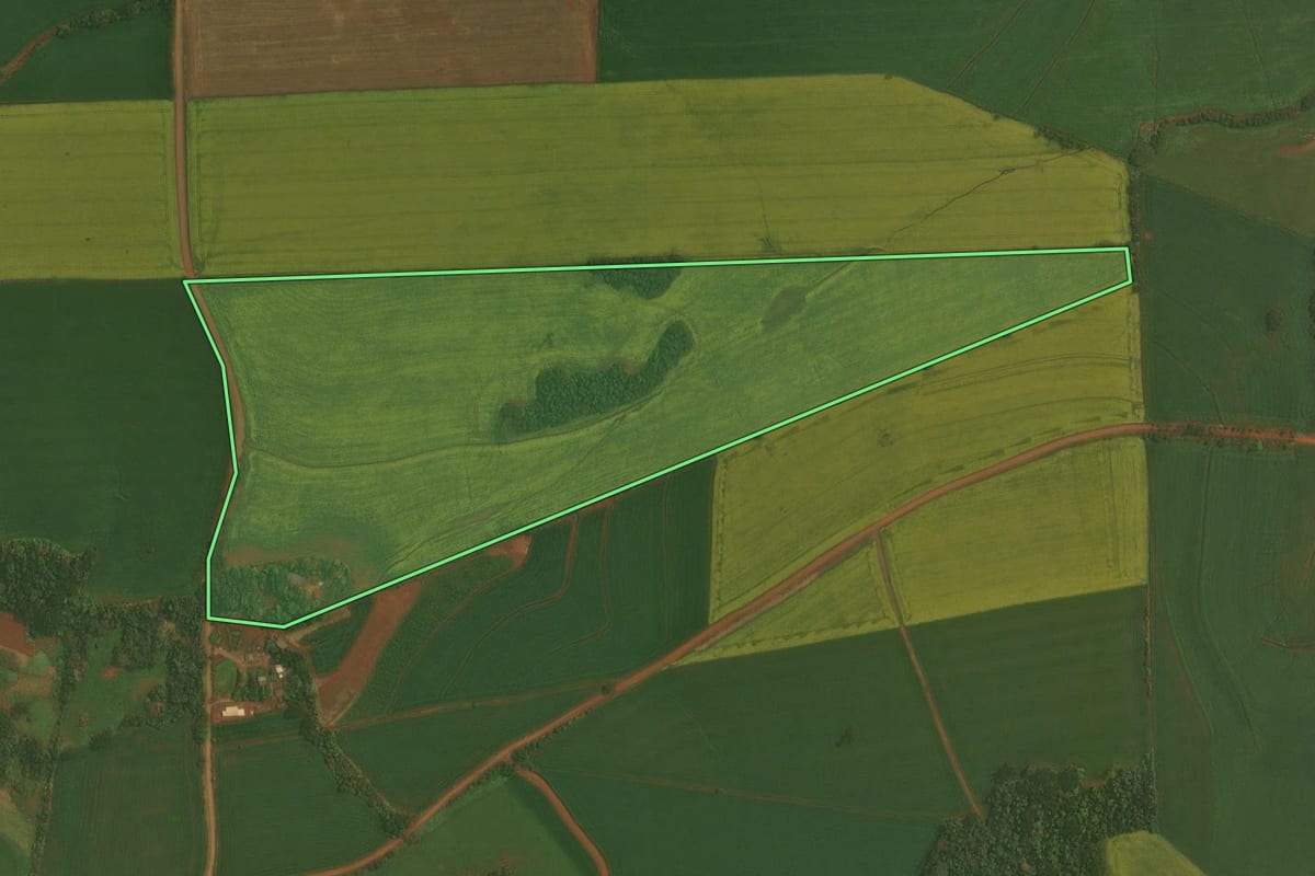 Imagem de satélite do imóvel rural em Ibirubá (RS), com o contorno declarado no CAR desenhado por cima.