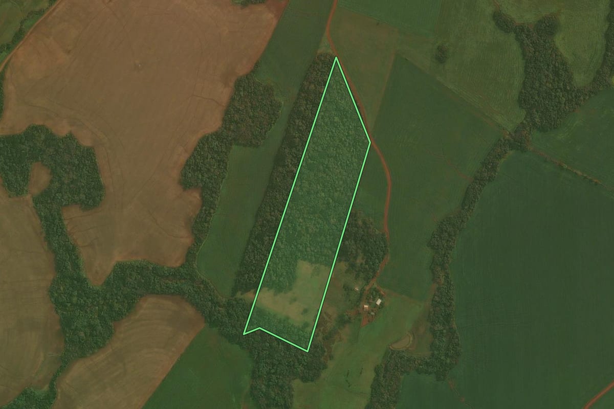 Imagem de satélite do imóvel rural em Ibirubá (RS), com o contorno declarado no CAR desenhado por cima.