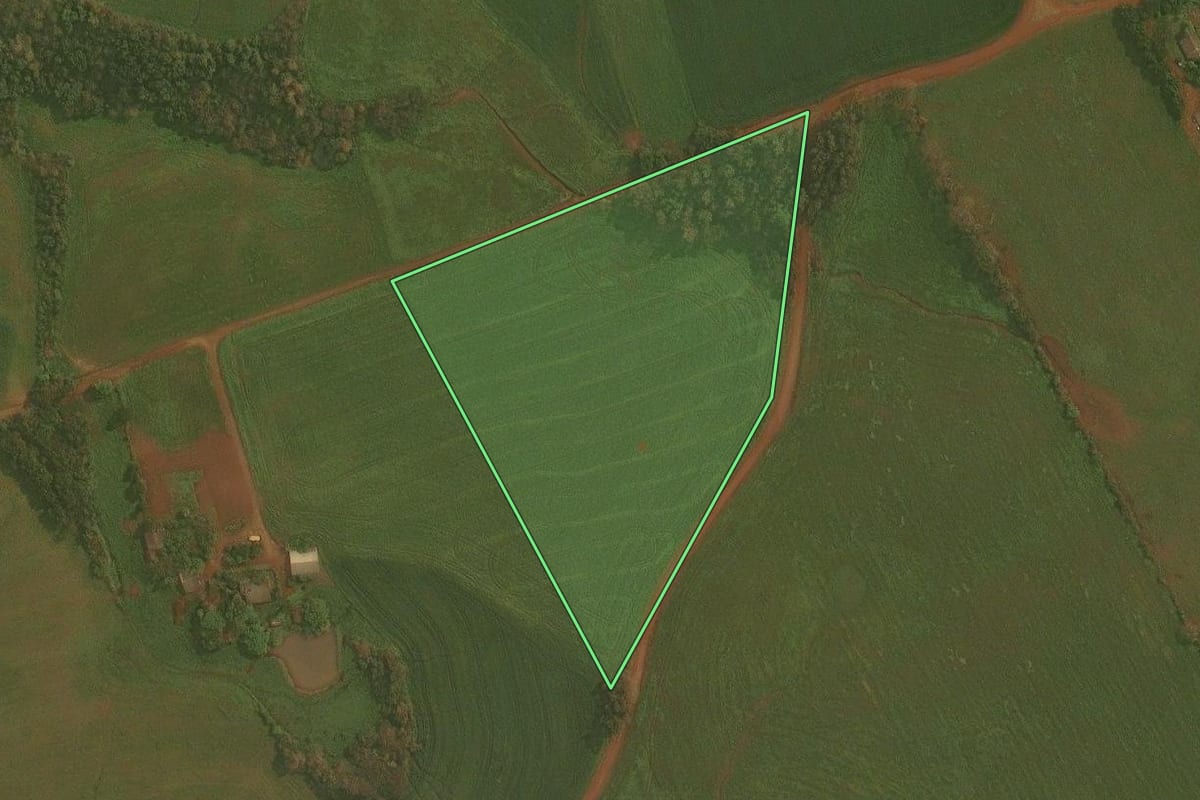Imagem de satélite do imóvel rural em Ibirubá (RS), com o contorno declarado no CAR desenhado por cima.