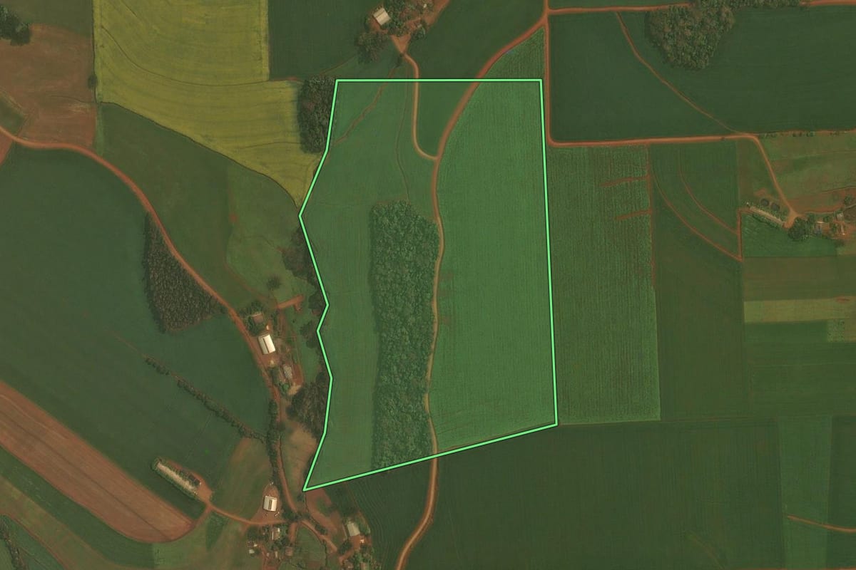 Imagem de satélite do imóvel rural em Ibirubá (RS), com o contorno declarado no CAR desenhado por cima.