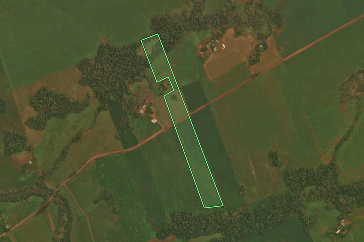 Imagem de satélite do imóvel rural em Ibirubá (RS), com o contorno declarado no CAR desenhado por cima.