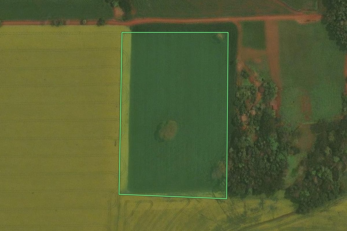 Imagem de satélite do imóvel rural em Ibirubá (RS), com o contorno declarado no CAR desenhado por cima.