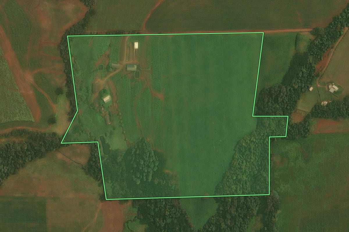 Imagem de satélite do imóvel rural em Ibirubá (RS), com o contorno declarado no CAR desenhado por cima.