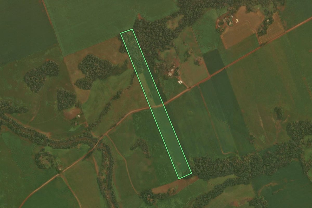 Imagem de satélite do imóvel rural em Ibirubá (RS), com o contorno declarado no CAR desenhado por cima.