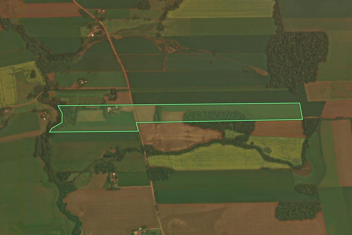 Imagem de satélite do imóvel rural em Ibirubá (RS), com o contorno declarado no CAR desenhado por cima.