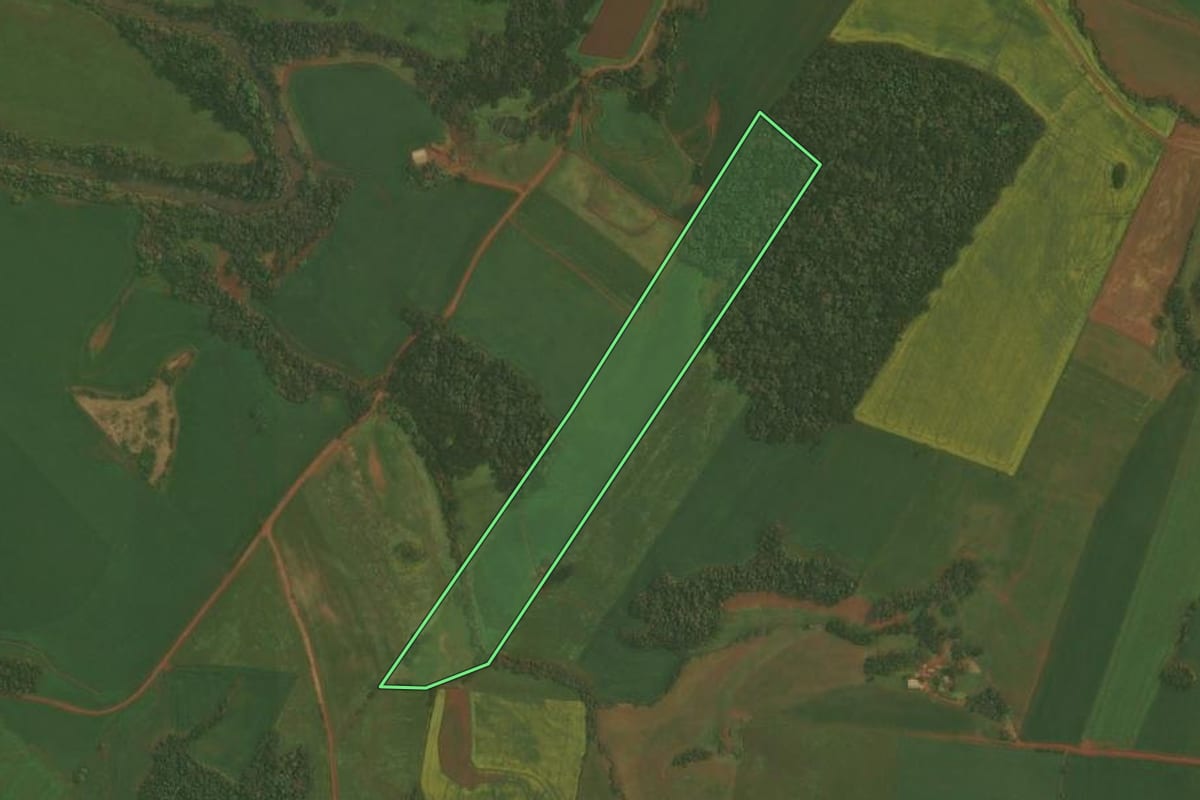 Imagem de satélite do imóvel rural em Ibirubá (RS), com o contorno declarado no CAR desenhado por cima.