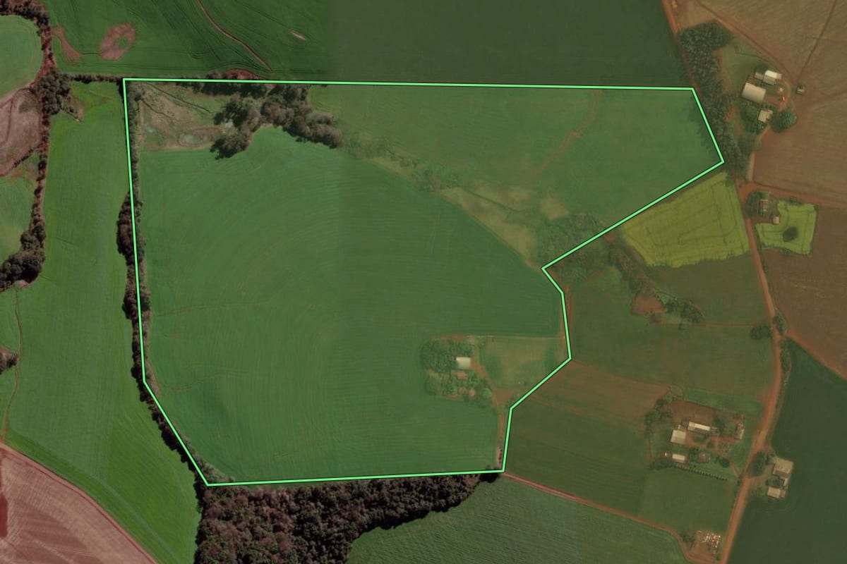 Imagem de satélite do imóvel rural em Ibirubá (RS), com o contorno declarado no CAR desenhado por cima.