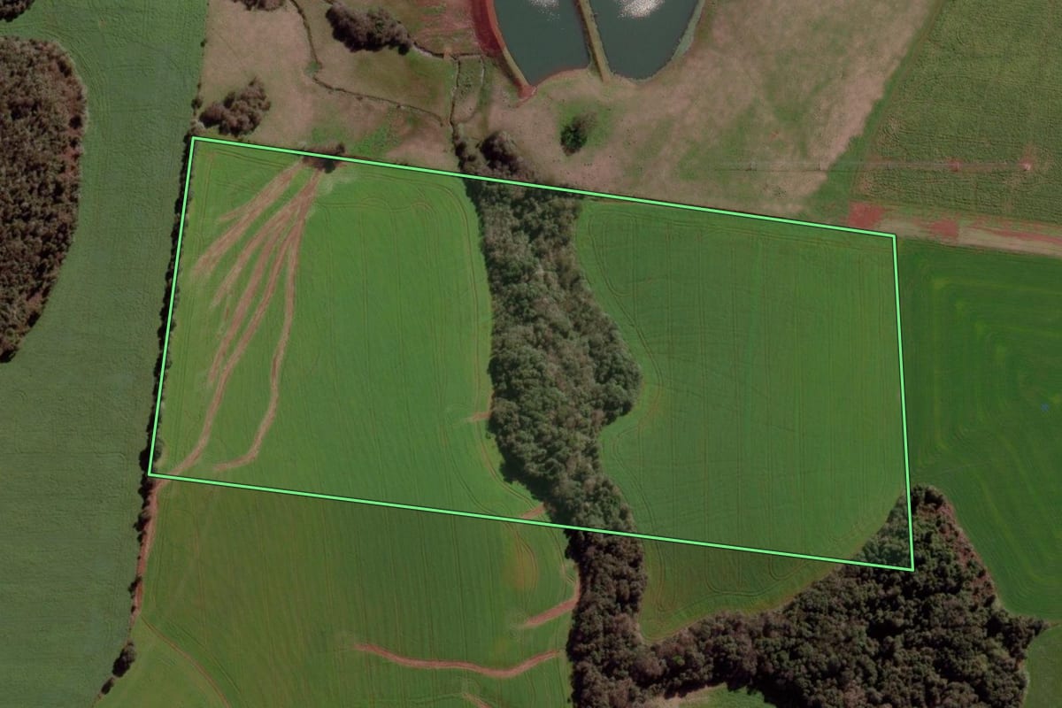 Imagem de satélite do imóvel rural em Ibirubá (RS), com o contorno declarado no CAR desenhado por cima.