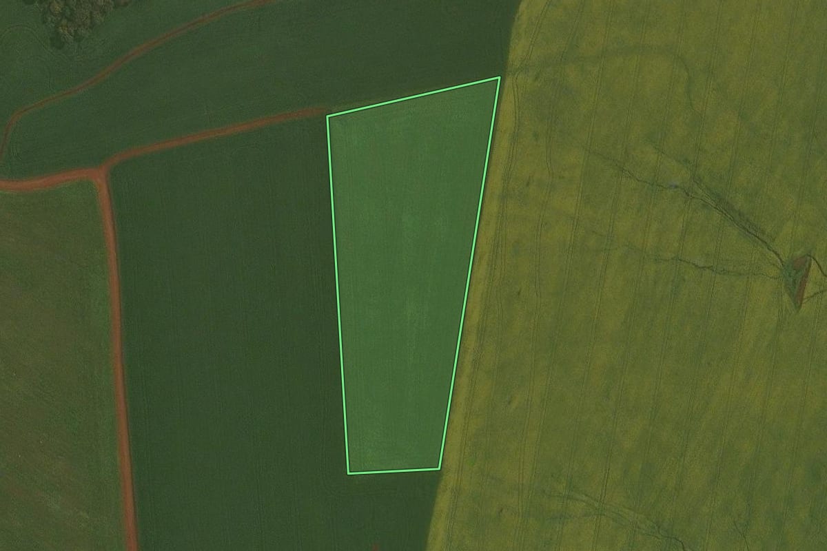 Imagem de satélite do imóvel rural em Ibirubá (RS), com o contorno declarado no CAR desenhado por cima.