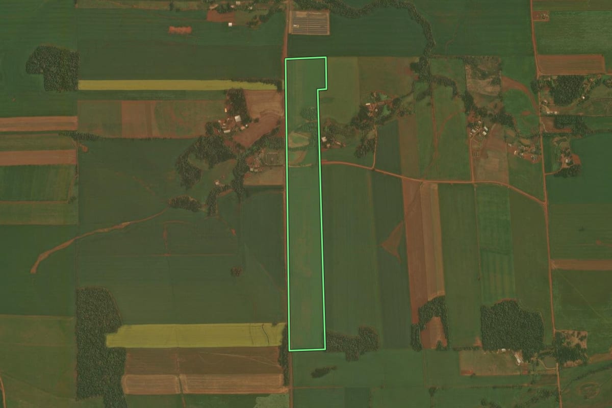 Imagem de satélite do imóvel rural em Ibirubá (RS), com o contorno declarado no CAR desenhado por cima.
