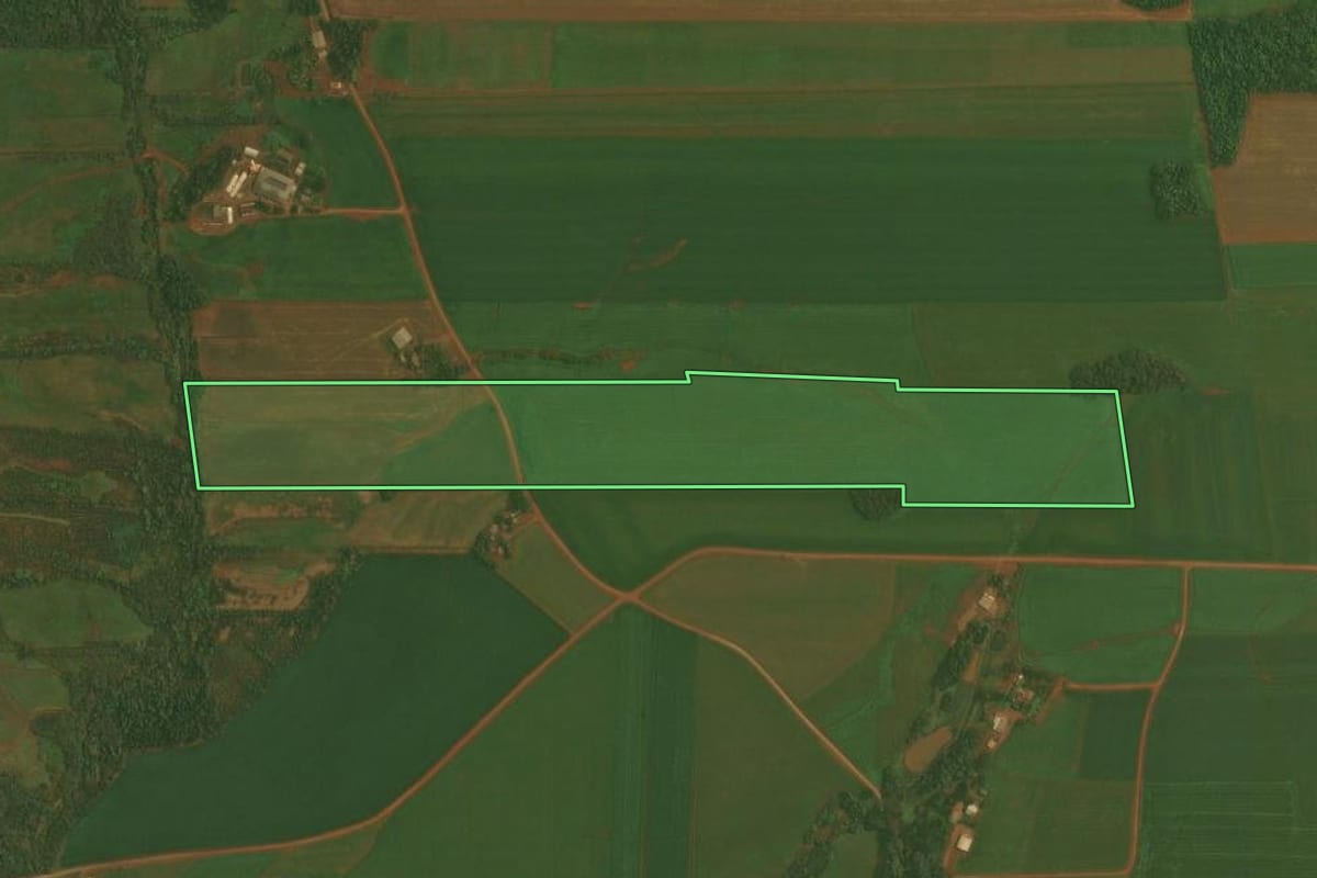 Imagem de satélite do imóvel rural em Ibirubá (RS), com o contorno declarado no CAR desenhado por cima.