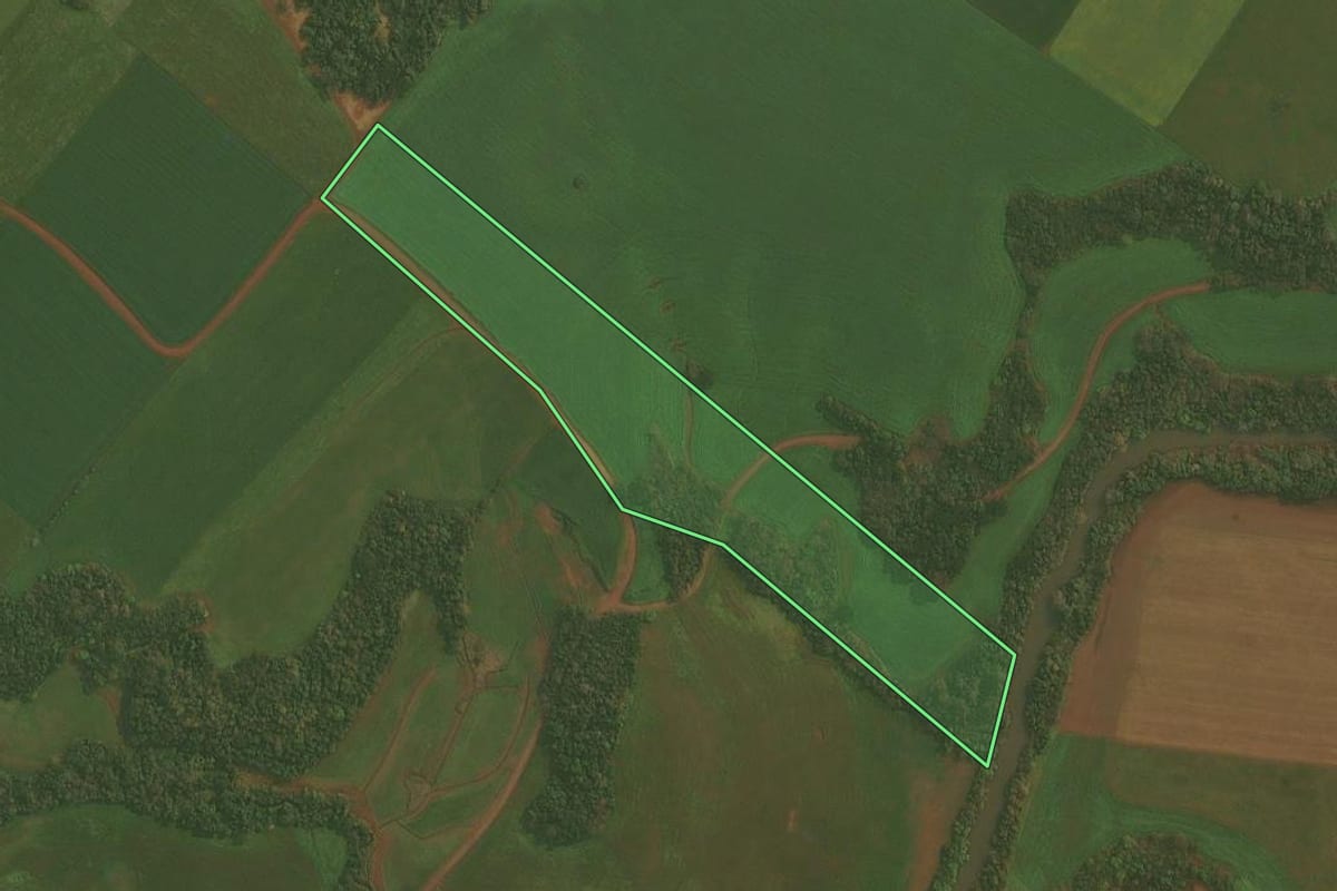 Imagem de satélite do imóvel rural em Ibirubá (RS), com o contorno declarado no CAR desenhado por cima.