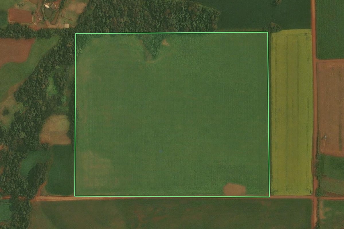 Imagem de satélite do imóvel rural em Ibirubá (RS), com o contorno declarado no CAR desenhado por cima.