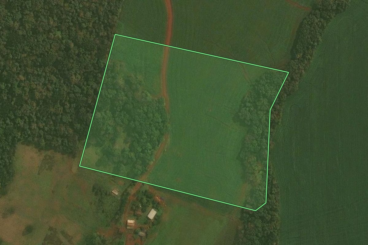 Imagem de satélite do imóvel rural em Ibirubá (RS), com o contorno declarado no CAR desenhado por cima.