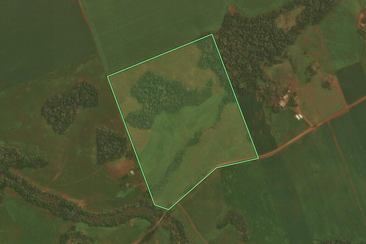 Imagem de satélite do imóvel rural em Ibirubá (RS), com o contorno declarado no CAR desenhado por cima.