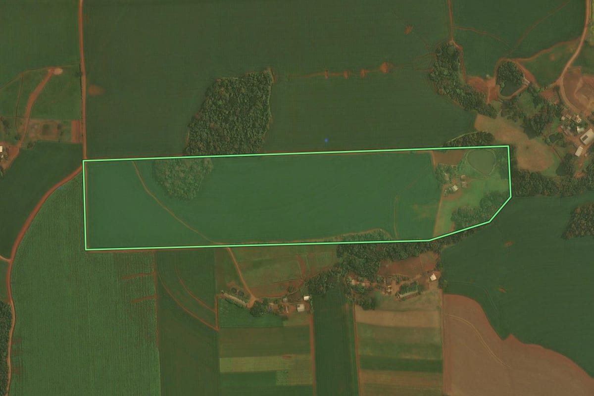Imagem de satélite do imóvel rural em Ibirubá (RS), com o contorno declarado no CAR desenhado por cima.