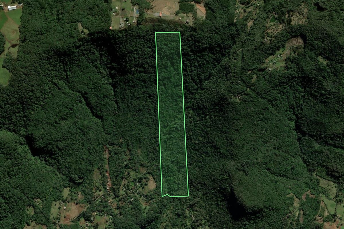 Imagem de satélite do imóvel rural em Igrejinha (RS), com o contorno declarado no CAR desenhado por cima.