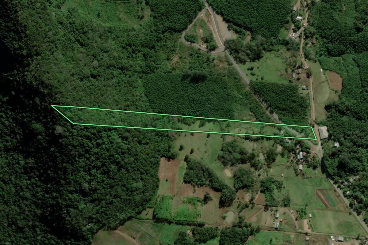 Imagem de satélite do imóvel rural em Igrejinha (RS), com o contorno declarado no CAR desenhado por cima.
