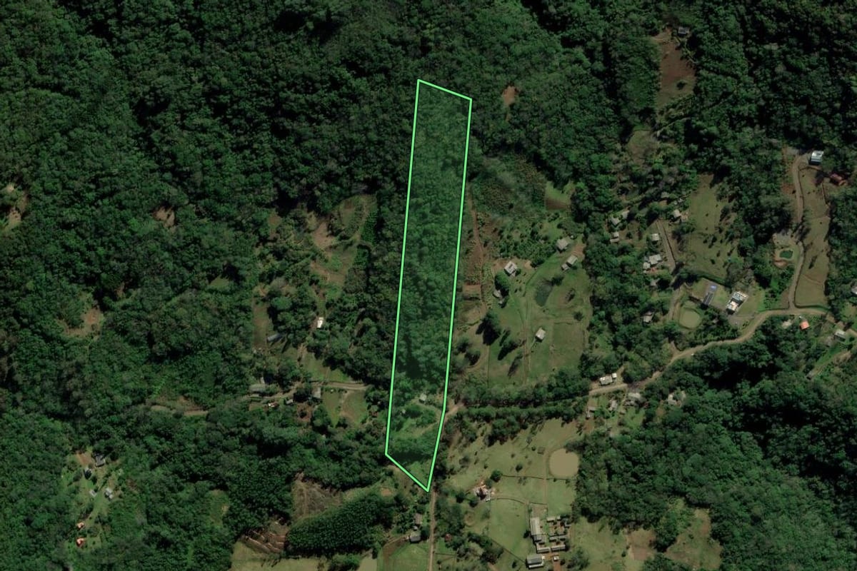 Imagem de satélite do imóvel rural em Igrejinha (RS), com o contorno declarado no CAR desenhado por cima.