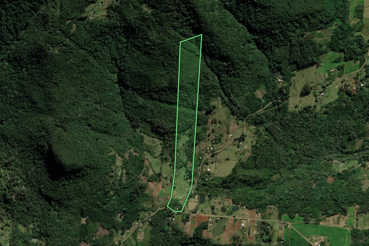 Imagem de satélite do imóvel rural em Igrejinha (RS), com o contorno declarado no CAR desenhado por cima.