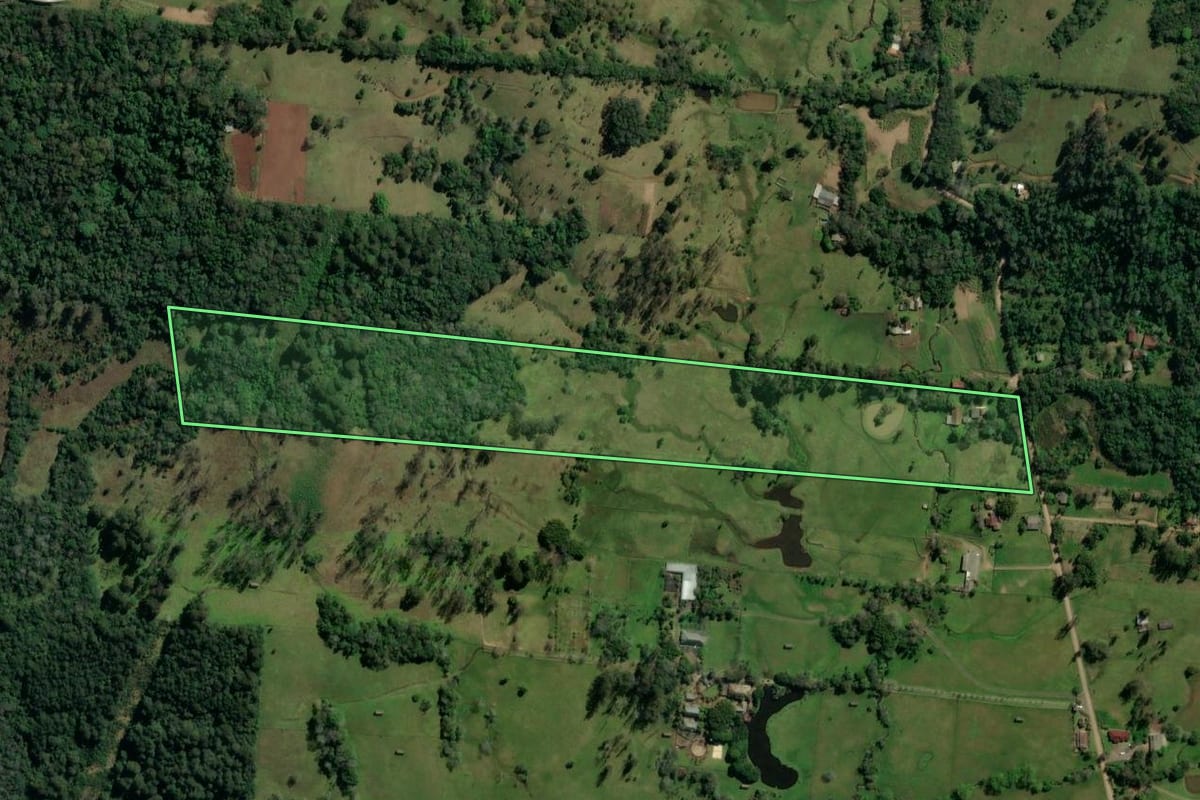 Imagem de satélite do imóvel rural em Igrejinha (RS), com o contorno declarado no CAR desenhado por cima.