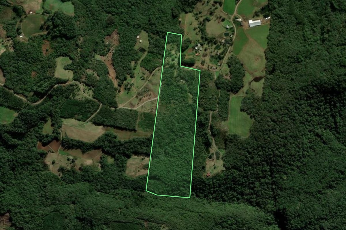 Imagem de satélite do imóvel rural em Igrejinha (RS), com o contorno declarado no CAR desenhado por cima.