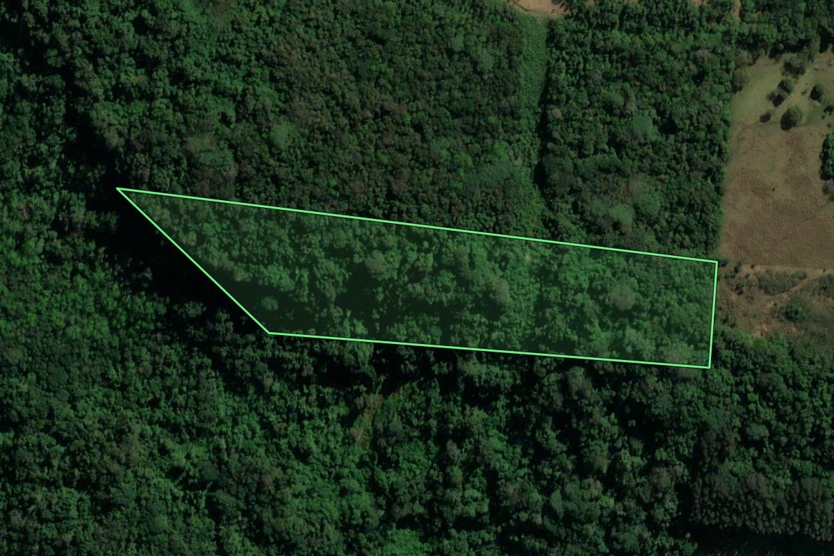 Imagem de satélite do imóvel rural em Igrejinha (RS), com o contorno declarado no CAR desenhado por cima.