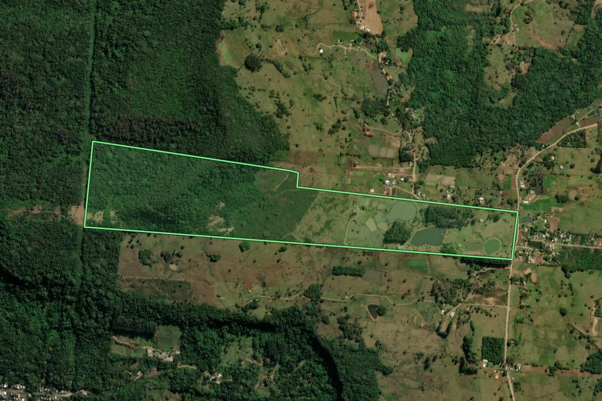 Imagem de satélite do imóvel rural em Igrejinha (RS), com o contorno declarado no CAR desenhado por cima.