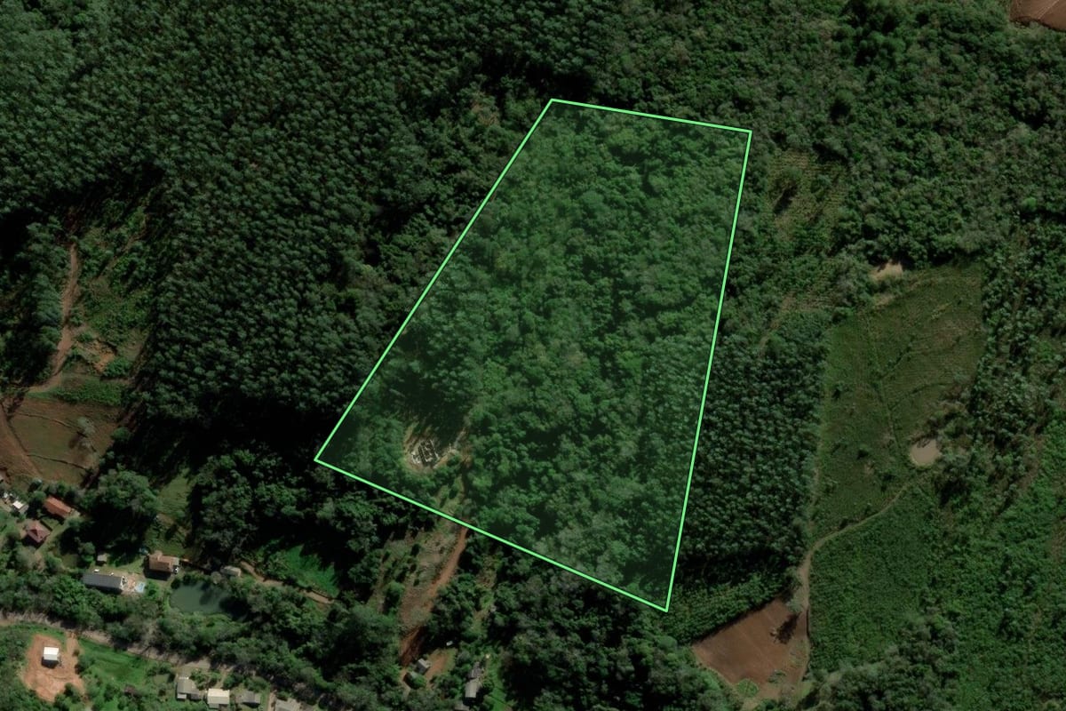 Imagem de satélite do imóvel rural em Igrejinha (RS), com o contorno declarado no CAR desenhado por cima.