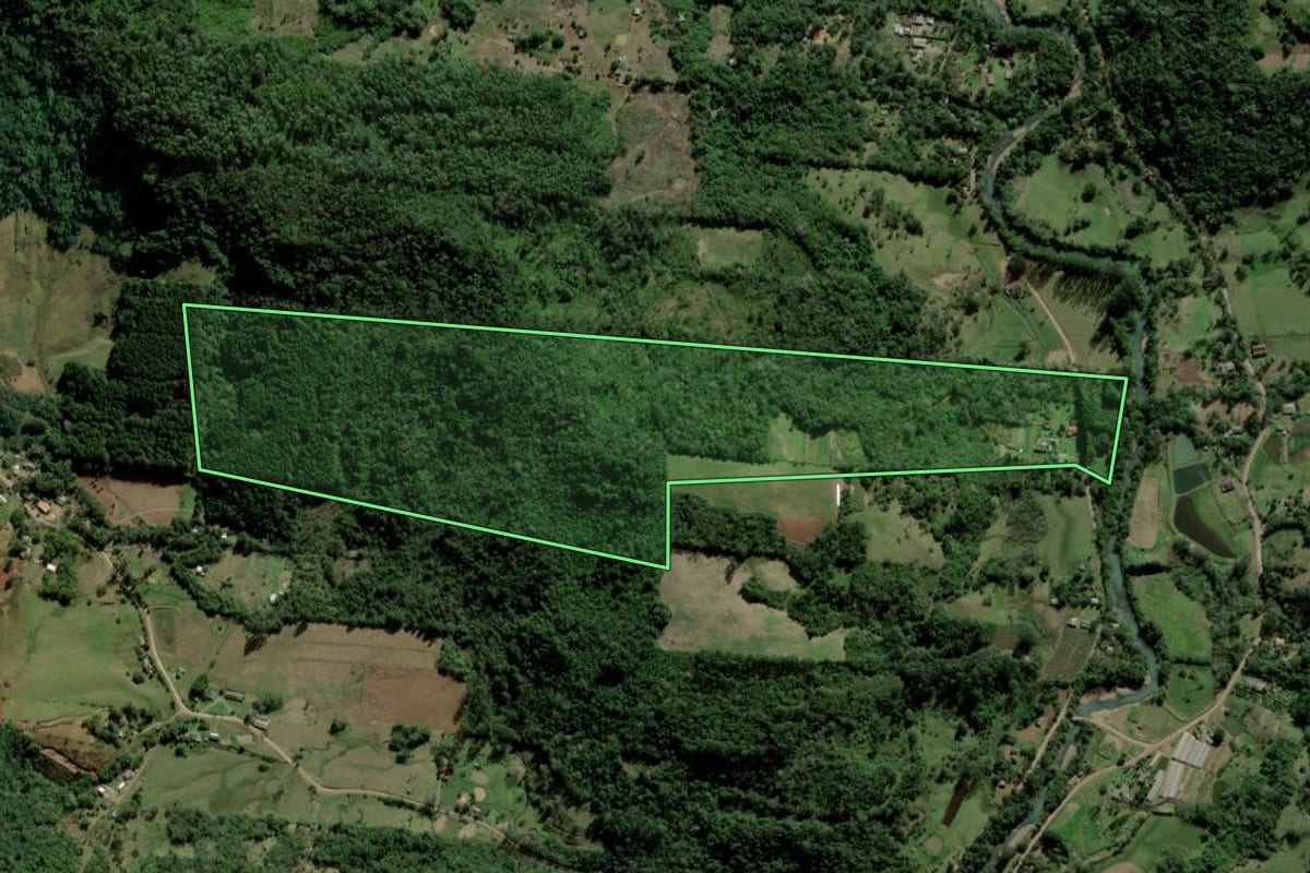 Imagem de satélite do imóvel rural em Igrejinha (RS), com o contorno declarado no CAR desenhado por cima.