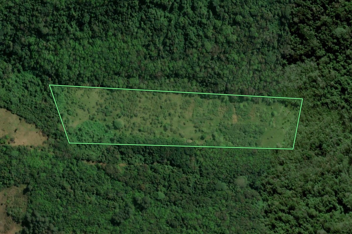 Imagem de satélite do imóvel rural em Igrejinha (RS), com o contorno declarado no CAR desenhado por cima.