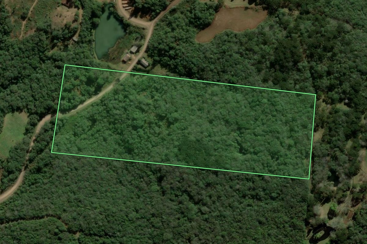Imagem de satélite do imóvel rural em Igrejinha (RS), com o contorno declarado no CAR desenhado por cima.